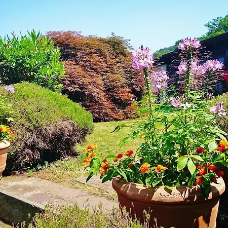 Сasa de vacaciones Casa Elena Castelveccana
